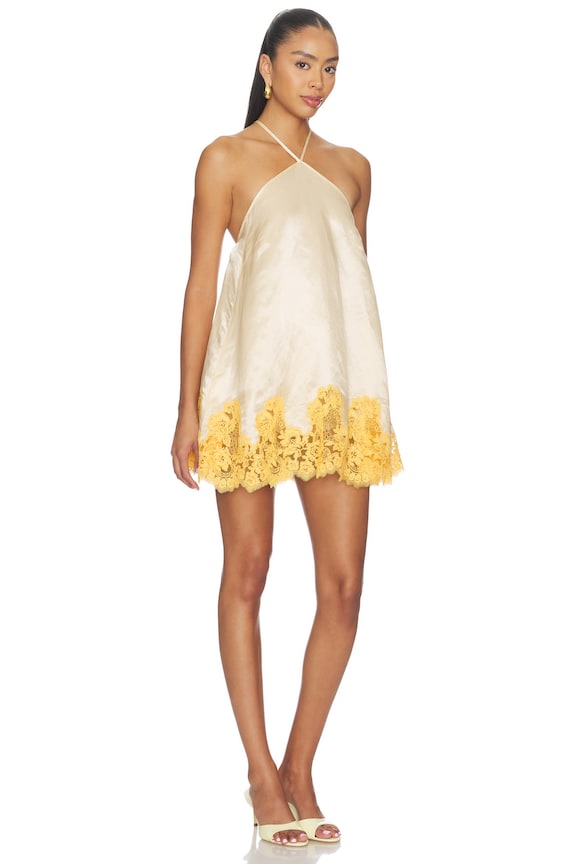 Anahi Mini Dress