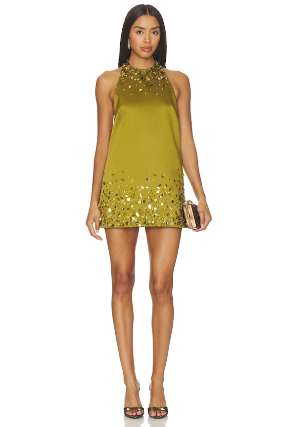 Tobonie Embroidered Dress