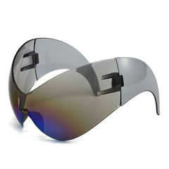 Contoured Large Frame Sunglasses