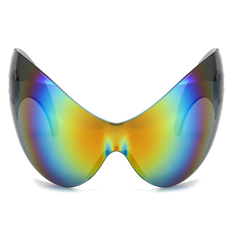 Contoured Large Frame Sunglasses