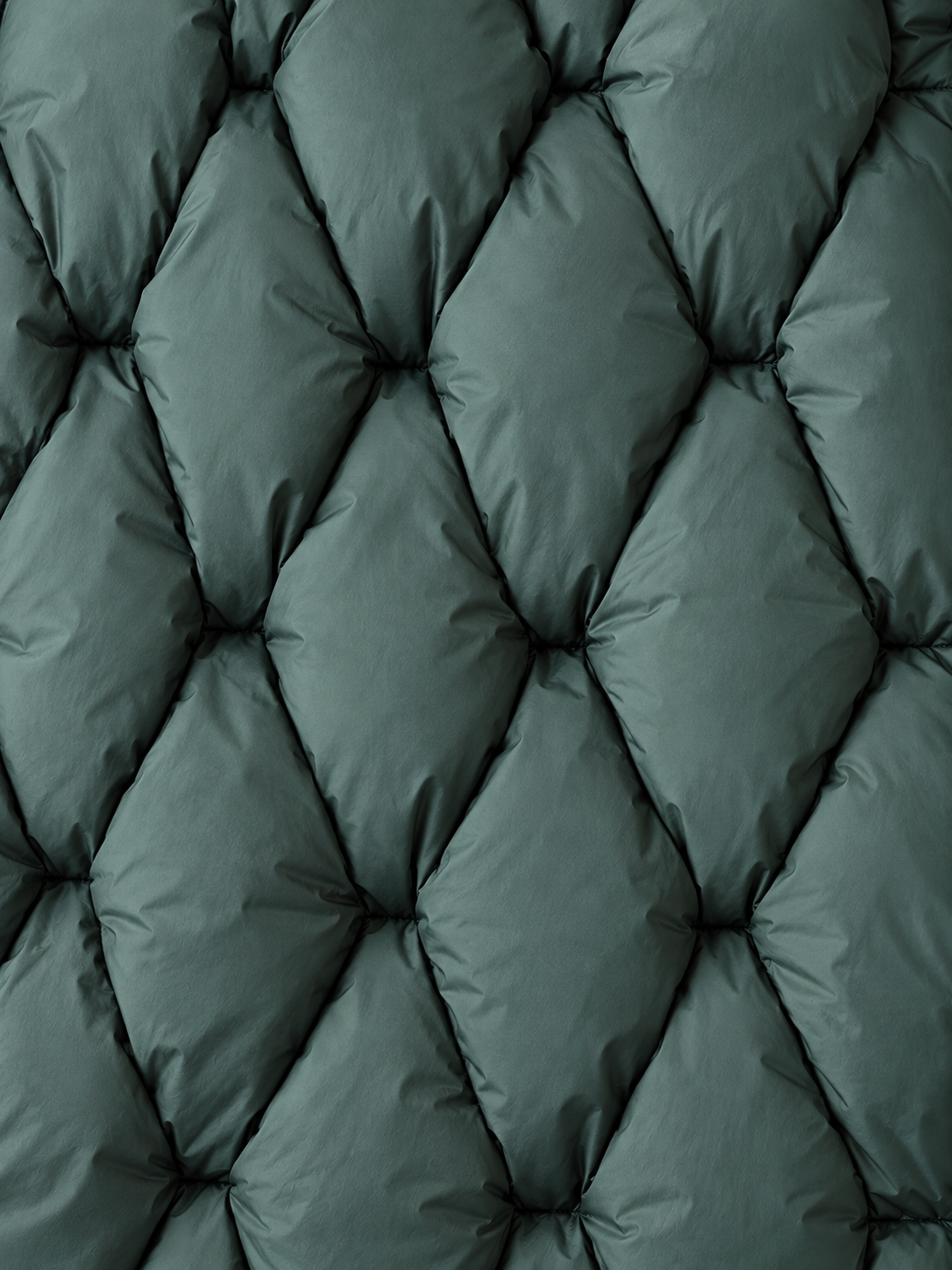 Sculpted-Quilt Padded Jacket