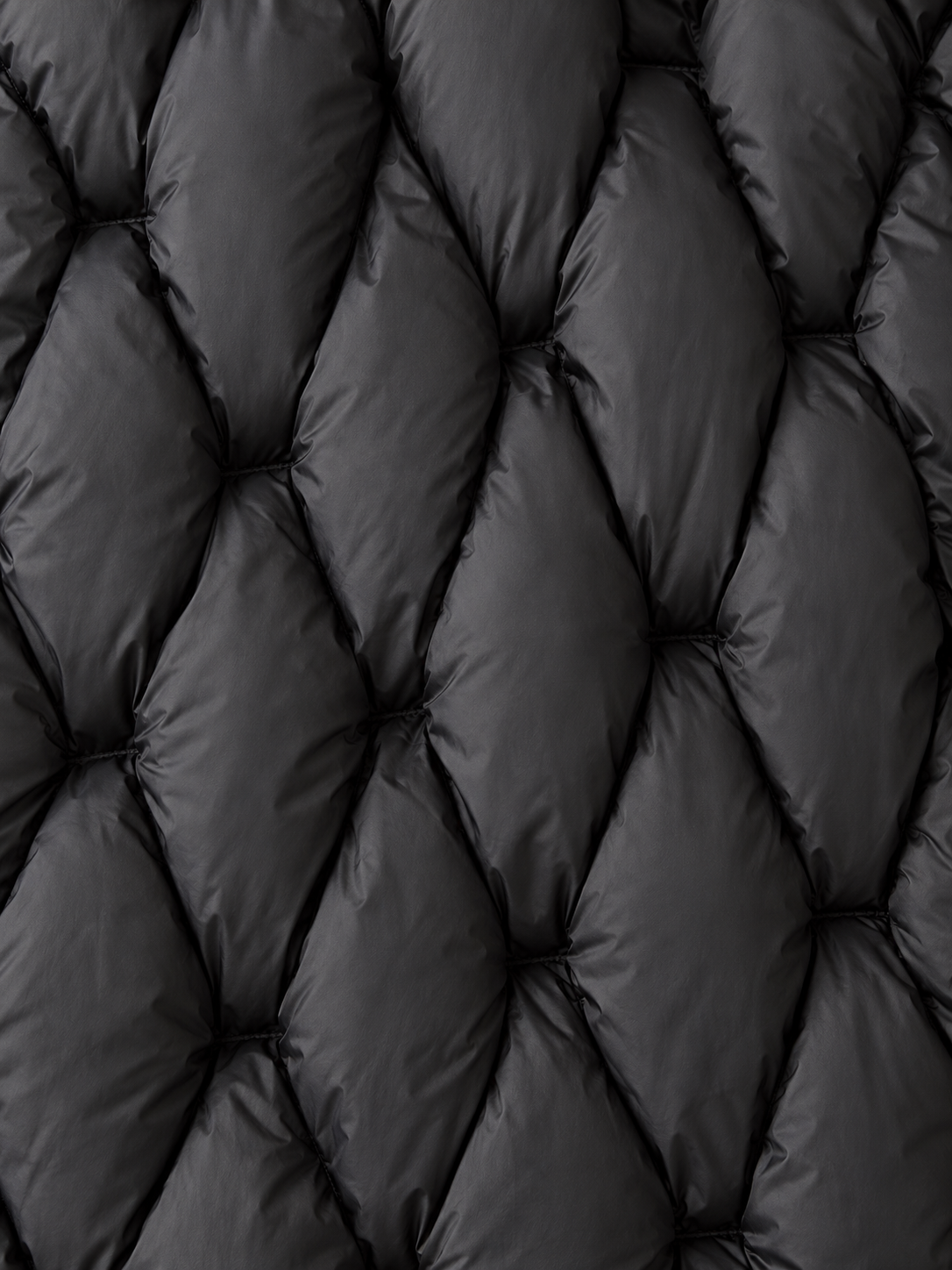 Sculpted-Quilt Padded Jacket